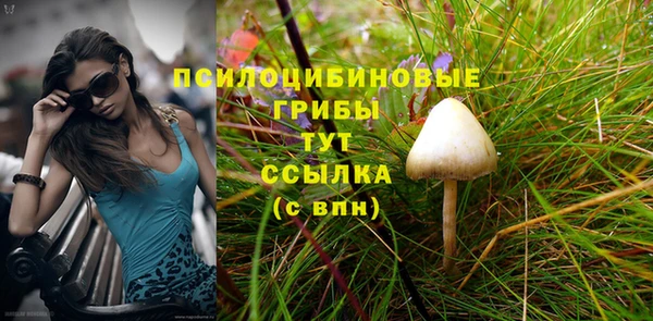 соль курить ск Гусиноозёрск